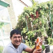 ���������� �������, ���� ������� ALI, 37 ���, ������������ ��� ������, ����� � ���������, c�������� ���������