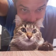  -,   Valentin, 34 ,   ,   , c , 