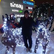 ���������� �����, ���� ������� �����, 37 ���, ������������ ��� ������, ����� � ���������