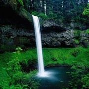 ���������� ��������, ���� ������� Ը���, 40 ���, ������������ 