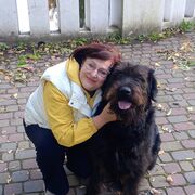 ���������� �����������, ���� ������� �������, 58 ���, ������������ ��� ������, ����� � ���������