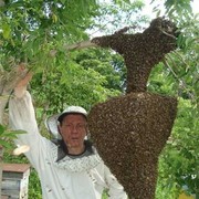  ,   , 44 ,   ,   , c 
