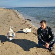 ���������� �����������, ���� ������� �������, 41 ���, ������������ ��� c�������� ���������