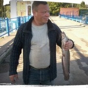  ,   , 49 ,     , c 