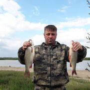 ���������� ����, ���� ������� �������, 46 ���, ������������ ��� ������, ����� � ���������, c�������� ���������