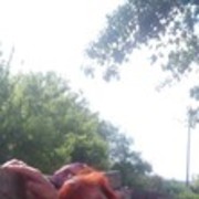 ���������� ������������, ���� ������� �����, 60 ���, ������������ ��� ������, ����� � ���������, c�������� ���������