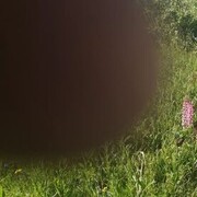  ,   , 36 ,   ,   , c 