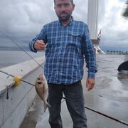  ,   FAZLI, 44 ,   ,   