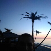 ���������� ��������, ������� Sergij, 45