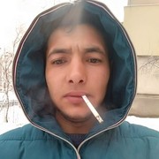  ,   Petrea, 28 ,   ,   , c 