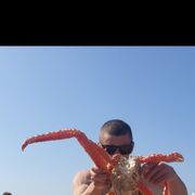 ���������� �����������-��-�����, ���� ������� Iliya, 27 ���, ������������ ��� ������, ����� � ���������