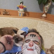 ���������� �����, ���� ������� ����, 42 ����, ������������ ��� c�������� ���������