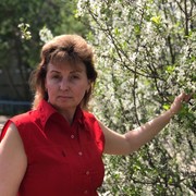 ���������� ������ ��������, ���� ������� �����, 55 ���, ������������ ��� ������, ����� � ���������, c�������� ���������