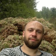  ,   VIK, 39 ,   