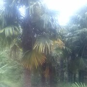  ,   , 36 ,   ,   , c 
