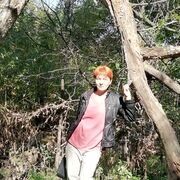  ,   , 54 ,   ,   , 