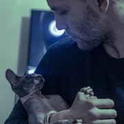  -,   Fox, 28 ,   ,   , c 