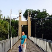  ,   German, 36 ,   , 