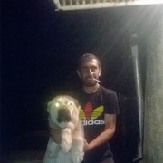 ���������� �����-���������, ���� ������� �����, 32 ����, ������������ ��� ������, ����� � ���������, c�������� ���������