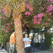 ���������� ������ �����, ���� ������� ������, 36 ���, ������������ ��� ������