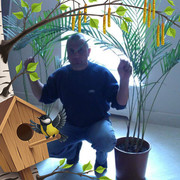 ���������� ���������, ������� �����, 47