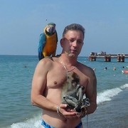  ,   , 55 ,   