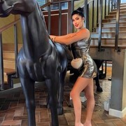 ���������� ���������, ���� ������� �����, 33 ����, ������������ ��� ������, ����� � ���������, c�������� ���������