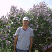   ,   , 41 ,     , c 