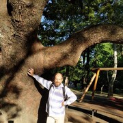  ,   , 65 ,   ,   , c 