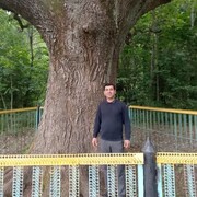 ���������� �����, ���� ������� ����, 43 ����, ������������ ��� c�������� ���������