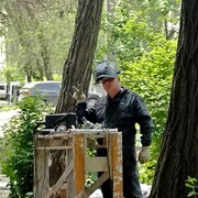 ���������� ���������, ���� ������� ���������, 38 ���, ������������ ��� ������, ����� � ���������