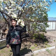  ,   , 62 ,   c 