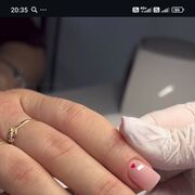 ���������� �������, ����