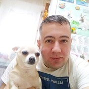  ,   , 37 ,   ,   