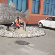  ,   , 43 ,     , c 