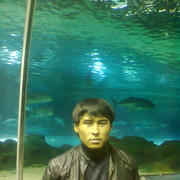  ,   , 36 ,   