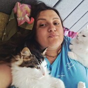  ,   , 33 ,   ,   