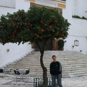  ,   Tomas, 40 ,   ,   , c 