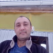  ,  , 43