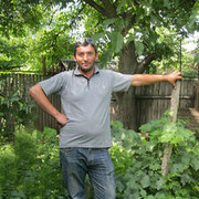 ���������� �������, ���� ������� Bachia, 50 ���, ������������ ��� ������, ����� � ���������, c�������� ���������