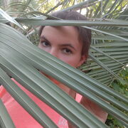 ���������� ������, ���� ������� ���������, 28 ���, ������������ ��� ������, ����� � ���������, c�������� ���������