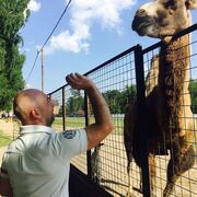 ���������� ������, ���� ������� ����, 43 ����, ������������ ��� ������, ����� � ���������, c�������� ���������