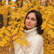 ���������� ���������, ��������