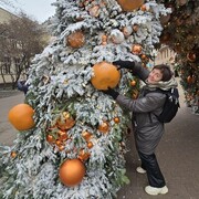 ���������� �����, ���� ������� ������, 46 ���, ������������ ��� ����� � ���������