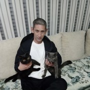 ���������� �����, ���� ������� �����, 41 ���, ������������ ��� ������, ����� � ���������, c�������� ���������