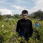 ���������� �����������, ���� ������� �����, 33 ����, ������������ ��� ������, ����� � ���������, c�������� ���������