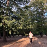 ���������� ���������, ���� ����� ������, 21 ���, ������������ ��� ���������