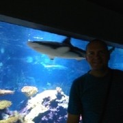 ���������� �����, ���� ������� Ce����, 53 ����, ������������ ��� ������, ����� � ���������, c�������� ���������