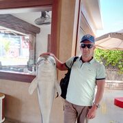 ���������� �������, ���� ������� ������, 52 ����, ������������ ��� ������, ����� � ���������, c�������� ���������