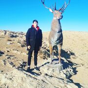 ���������� ���������, ������� ���, 26